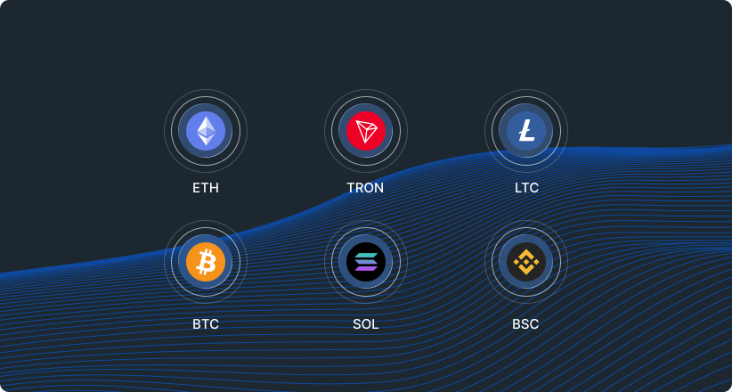 Supported blockchain networks: ETH, TRON, LTC, BTC, SOL, BSC