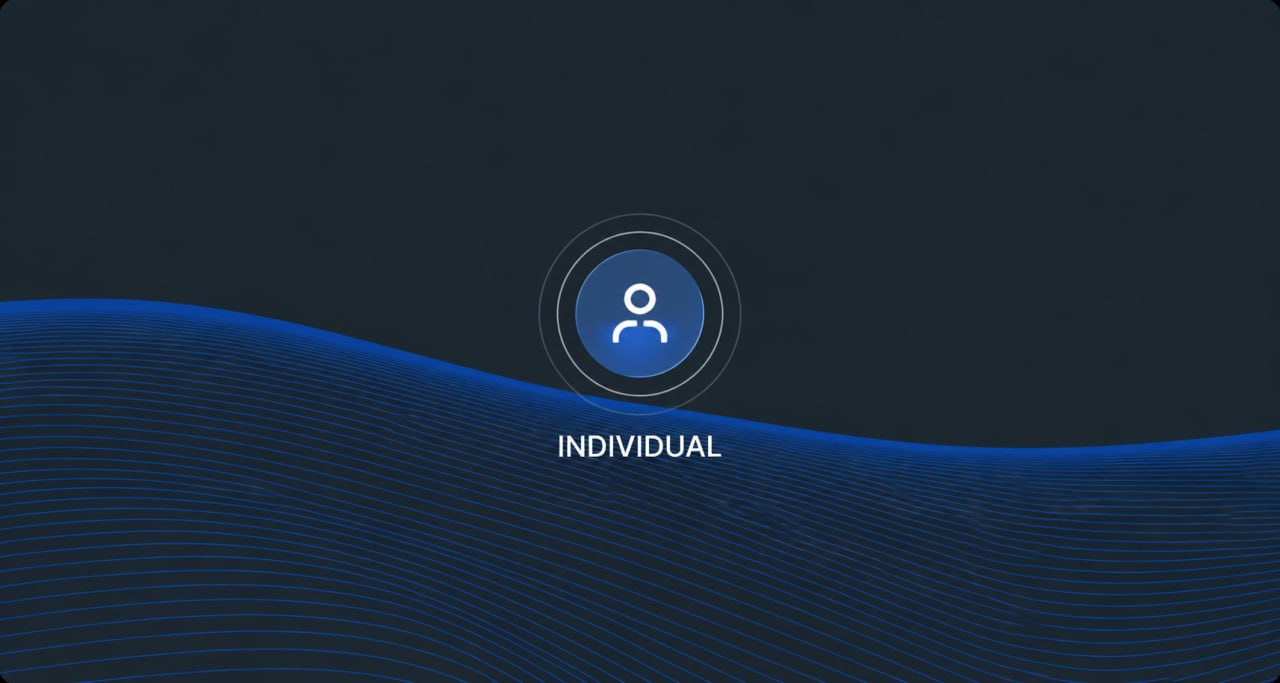 Individual accounts